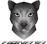 logo variante n°1 conflit